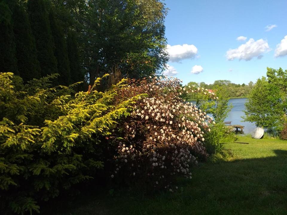 Villa Dom na Mazurach Jeziorna Miłki Exterior foto